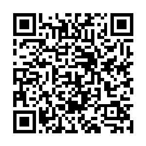 没看到踏雪无痕墨角腾云兽把小幼崽当初命根子吗二维码生成