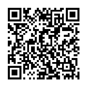 没看到连魔裔这一代的大预言师都搞不懂安文在干什么吗二维码生成