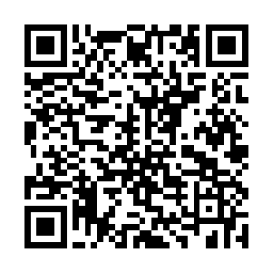 没等玛丽开口她就摇了摇头让她闭嘴――考虑了一会二维码生成