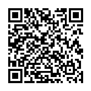 没精打采的趴在专门给她准备的垫子上让白兰给她修指甲二维码生成