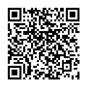 没能形成封印的六尊佛陀虚影被纯粹的力量直接打开二维码生成