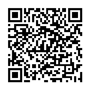 没落的安泽地女巫和梵尼娅签订了相互帮助的契约二维码生成