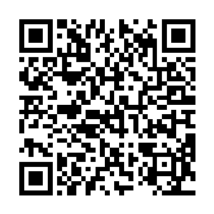 没藏讹庞的大军在李清回营的第二天就拔营北归了……二维码生成