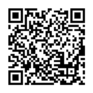 没藏讹庞的眼睛就像是两盏鬼火在夜色中闪闪发亮二维码生成