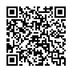 没见铁背龙还有角马王等动物大老远就闻到味儿跑过来二维码生成