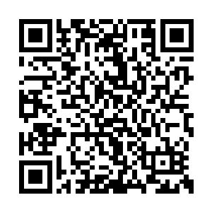 没谁在狩猎的时候会分心去看别人身上的图腾纹二维码生成