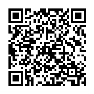 没谁愿意跟强横的对手为没有好处的事情打得鸡飞狗跳二维码生成