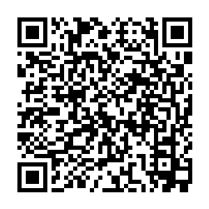 没过多久就有一个正值壮年的猎手因为手臂被刮伤得不到及时的救治而没命二维码生成