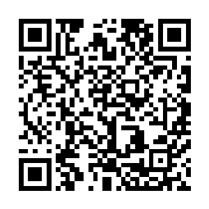 没过多久木家的人就纷纷感觉到了动静前去劲草院一探究竟二维码生成