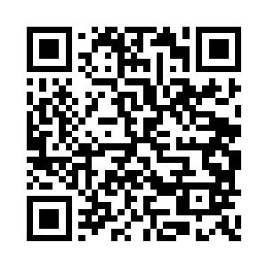 没这反应和身手也同样要命丧在狼群獠牙之下二维码生成