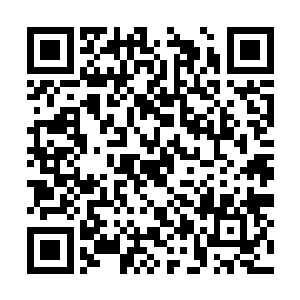 没道理这么下狠手修理代表宗门门面的公子仙子啊二维码生成