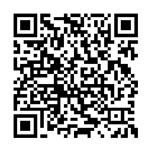 沣哥儿便带着画夹到放生亭去画莲池里的绿毛龟二维码生成