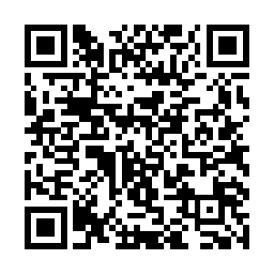 沧海宗的三个涅盘境界的长老都不是杨戬的一合之敌二维码生成