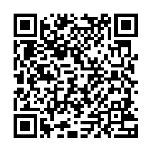 沧澜宗已经将本宗弟子全部收缩进了内门范围以内二维码生成