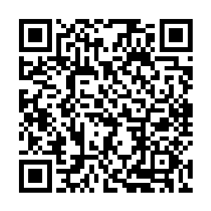 沫大的性格的确不适合在这种濒临崩溃的世界完成任务二维码生成