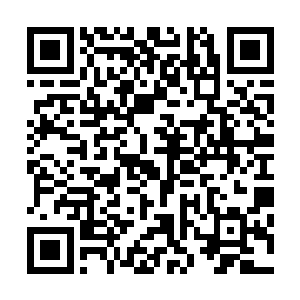 沫沫……他的脑海中不禁浮现出了一张小巧清隽的可爱面容二维码生成