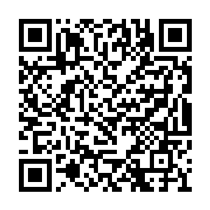河滩城说不定早就毁灭在某一次的怪物暴乱中了二维码生成