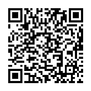 油条和土狗现在也能给自己发出如些清晰的图像来了二维码生成