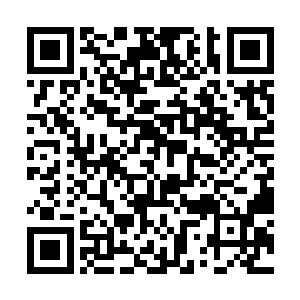 沾染着些许泪光的眼眸狡黠的精光也开始了灼灼闪亮二维码生成