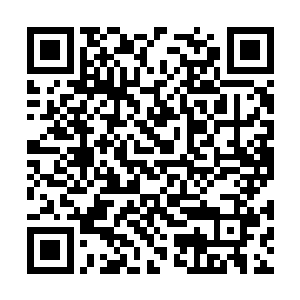 沾过无数人类和野兽鲜血的飞达自己知道那是什么二维码生成