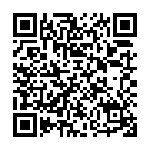 沿着步行道往前走――他记得前方有一家小小的兽医院二维码生成