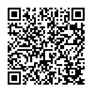 沿途遇到了一些零星的人类――都是被混乱魔力腐蚀了心智的伐木工人二维码生成