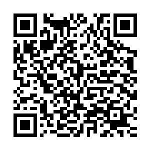 法兰卡少校用插进尸体脑袋的食指在尸体的颅腔内搅动了一下二维码生成