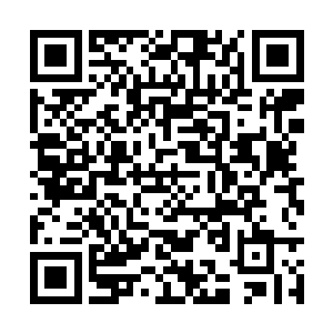 法国总理的全权特使来到了云东他们居然都不知道二维码生成