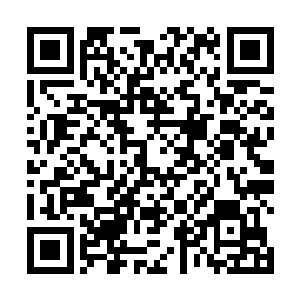 法宝单元的碰撞和爆炸声仿佛是吕轻尘咬牙切齿的吼叫二维码生成