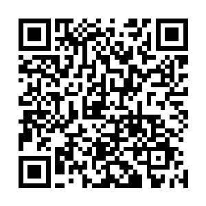 法宝的本形已经被那金色巨掌被逼迫的渐渐显露出了其真形二维码生成
