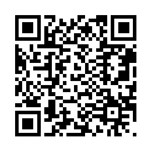 法家是以法治为核心思想的重要学派二维码生成