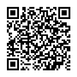 法身自从上次被若惜强行塞了石火本源进去之后便一直在沉睡二维码生成