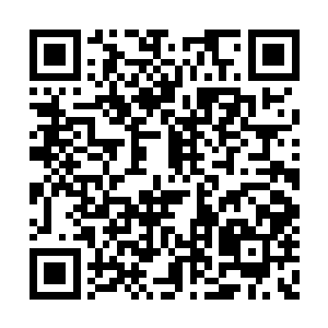 泛宁正让人通知自己队伍里的人今年的远行计划二维码生成