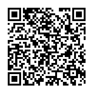 泛着冷意睿智的眸光从卷曲似小扇子一般浓密的眼睫缝隙中晕染开二维码生成