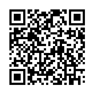 泛着淡淡香味的绿叶被风吹得哗哗作响二维码生成