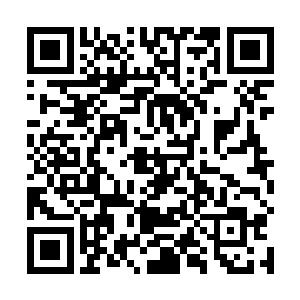 波兰是第一跳出来支持日本接手德国在山东利益的国家二维码生成