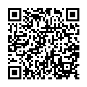 波萨因穿着亮银色铠甲的身影再次出现在雷林视野里面二维码生成