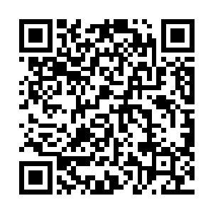 泥潭之外的人只见泥潭那处就像是被煮沸了似的不断涌动二维码生成