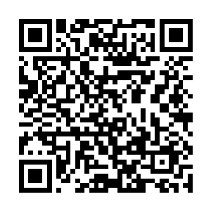 注定不会占据今晚的晚报和明天日报的娱乐版头条了二维码生成