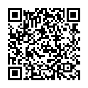 注定是别人代替不了左飞的啊……我这话不算剧透吧二维码生成