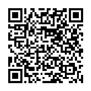 注定要在大齐朝的贵妇圈中留下最浓墨重彩的一笔二维码生成