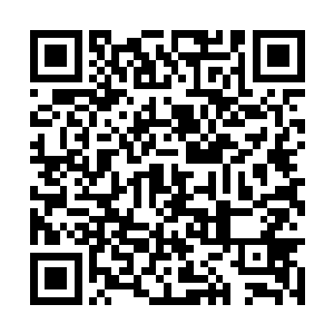 注意到了双人书桌属于李姝的那一侧的书卷和典籍二维码生成