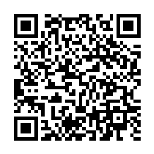 注意力完全都放在雨果身上又或者说放在雨果手里的吉他上二维码生成