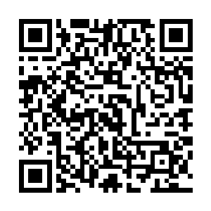 注意力开始集中在半空中盘旋的鸟雀上――因为几人的前进二维码生成