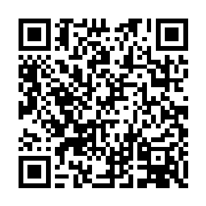 注视着元婴随着精气的消散身体一点点变得透明二维码生成