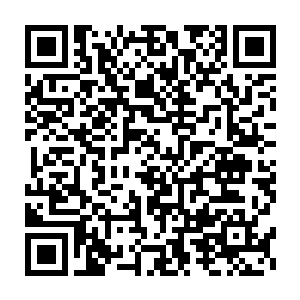 泰仕集团在双峰县经济技术开发区的厂区今年生产全面满负荷运转二维码生成