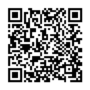 泰掌柜和陆掌柜两人勾肩搭背的来到粮铺所在的街道二维码生成