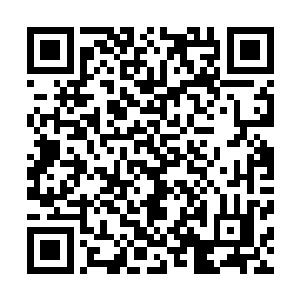 泰斗竭尽全力凝聚成的护盾刚与剑尘射出的这一道剑气接触二维码生成