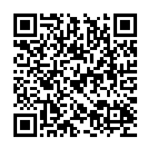 泰熙也是跟李富真两个人坐在了酒店的咖啡厅这边二维码生成