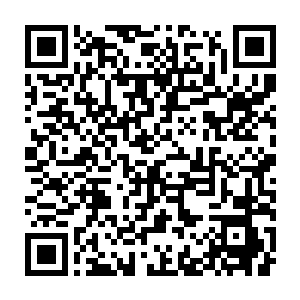 泽北光男和长濑幸未还有手下的中年男人已经回到了自己的座位上二维码生成